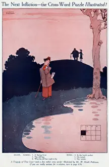 Puzzles: The Next Infliction - the Cross-Word Puzzle Illustrated
