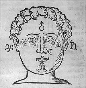 Belot: INFLUENCES ON FACE