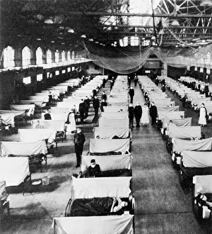 Influenza: Influenza Epidemic