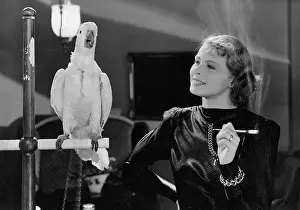 Gustaf: Ingrid Bergman in Dollar, 1938