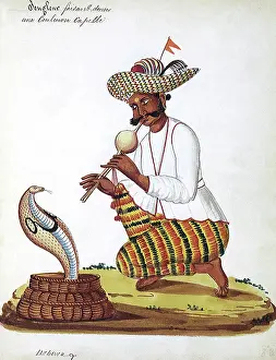 Charmer: Inian man snake charmer