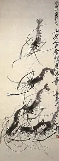 Shellfish: Ink Prawns