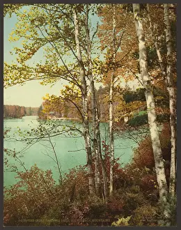 Inlet: The Inlet, Spit-Fire Lake, Adirondack Mountains