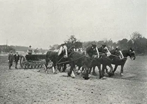 Inmate: Inmate and Horses at Claydon Training Centre, Suffolk