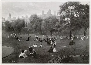 Summers: Inner Temple Gardens, London