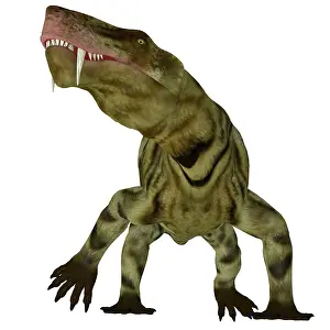 Synapsid: Inostrancevia dinosaur, low angle front view
