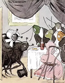 Curtsey: Insect Dinner Party