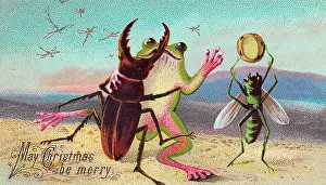 Dragonflies: Two insects and a frog on a Christmas card