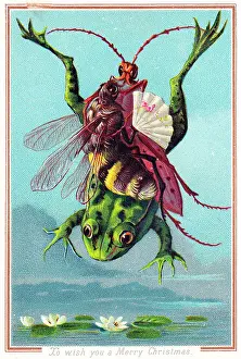 Dragonflies: Insects riding on a frog on a Christmas card