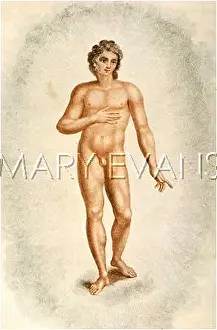 Perspiration: INSENSIBLE PERSPIRATION