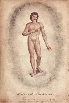 Perspiration: The Insensible Perspiration Figure of a naked