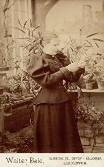 The Annabel Watts Collection: (insert)