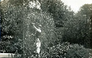 The Annabel Watts Collection: (insert)