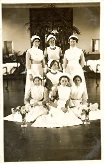 The Royal College Of Nursing: (insert)