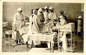 The Royal College Of Nursing: (insert)