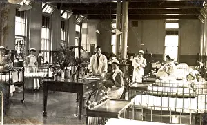 The Royal College Of Nursing: (insert)