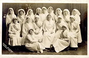 The Royal College Of Nursing: (insert)