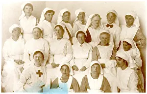 The Royal College Of Nursing: (insert)