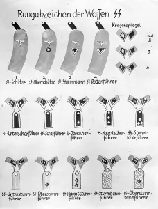 Amount: Insignia of the Waffen SS