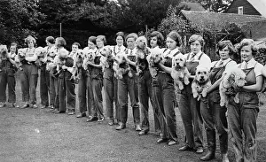 Kennels: Inspection at Bell Mead Kennels. Young
