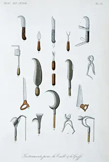 Regne: Instruments for measuring size