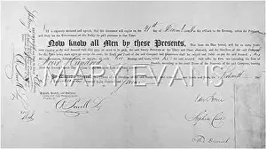 Concluding: INSURANCE POLICY 1807 -2
