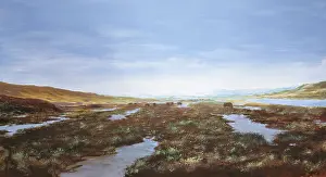 Rhinocerotidae: Interglacial Landscape
