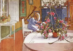 Olof: Interior, with Cactus