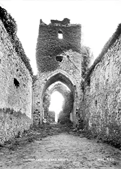 Louth: Interior, Carlingford Abbey