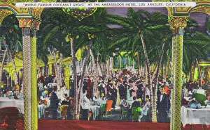 Cocoanut: The interior of the Cocoanut Grove, Los Angeles, 1930s