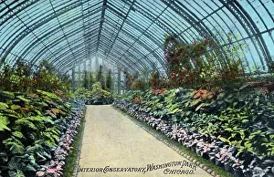Glasshouse: Interior of the Conservatory, Washington Park, Chicago