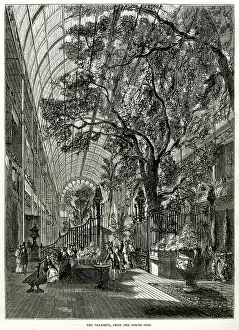 Transept: Interior of the Great Exhibition 1851