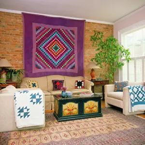 Teu001: Interior Living Room Sofa Chairs with Quilted