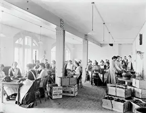 Preserves: The interior of the new buildings where the company