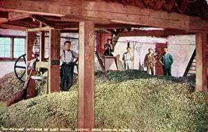 Hops: Interior of Oast House, Kent