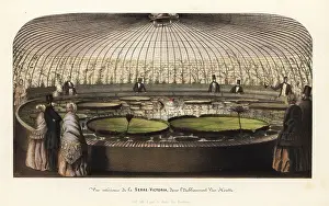 Regia: The interior of the Victoria Hothouse in the