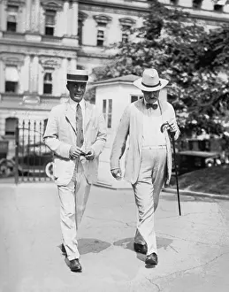 Tarnished: Interior walking with Theodore Roosevelt ?