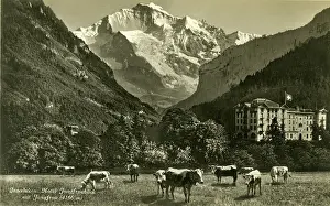 Interlaken: Interlaken and the Jungfrau, Bern, Switzerland