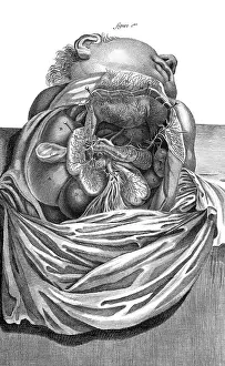 Digestive: INTERNAL ORGANS 18TH C