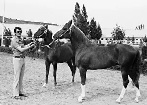 Bought: International Auction of Horses