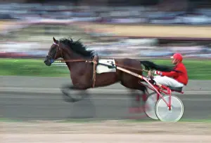 Kozlov: International Horse Races