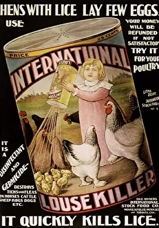 Barnyard: International Louse Killer