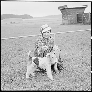 Eligibility: International mink competition, dog, Wally Hermannova