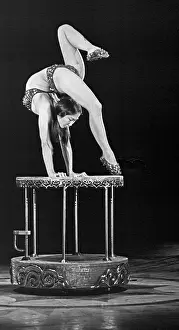 Etude: International program Circus festival today