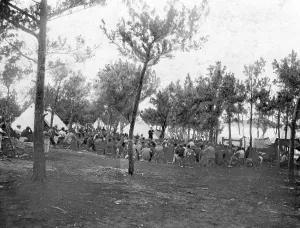 Bermuda: Interned Boers in the British Bermuda, 1902