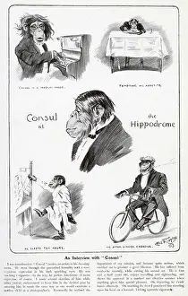 Oct19: An Interview with Consul the Chimpanzee