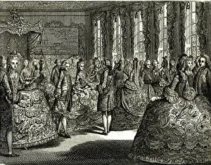 Crinoline: Introducing a Lady to Her Majesty Queen Charlotte