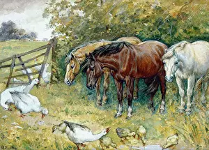 Intruders: The Intruders ' geese and ponies