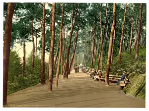 Invalids: Invalids walk, Bournemouth, England