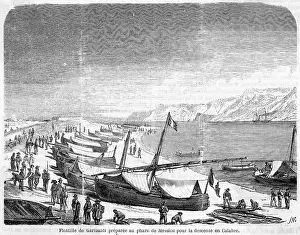 Garibaldis: INVASION FLEET